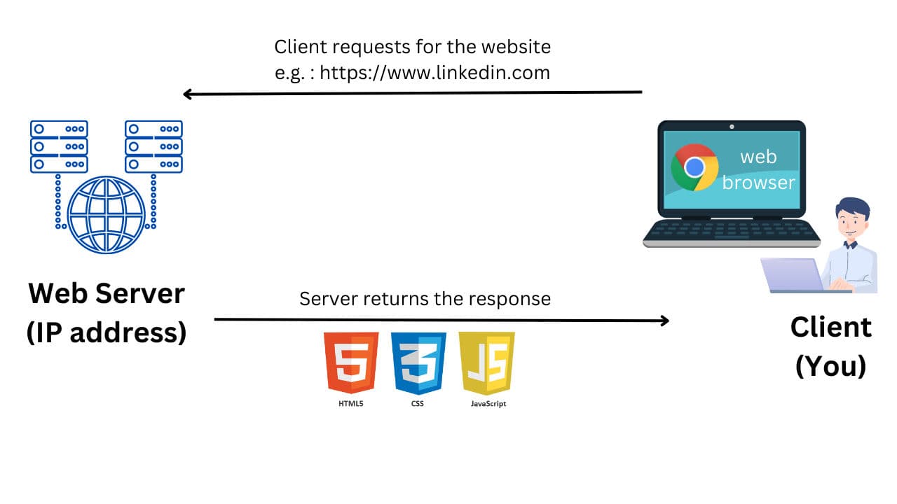 The Vanilla : HTML, CSS, and JavaScript