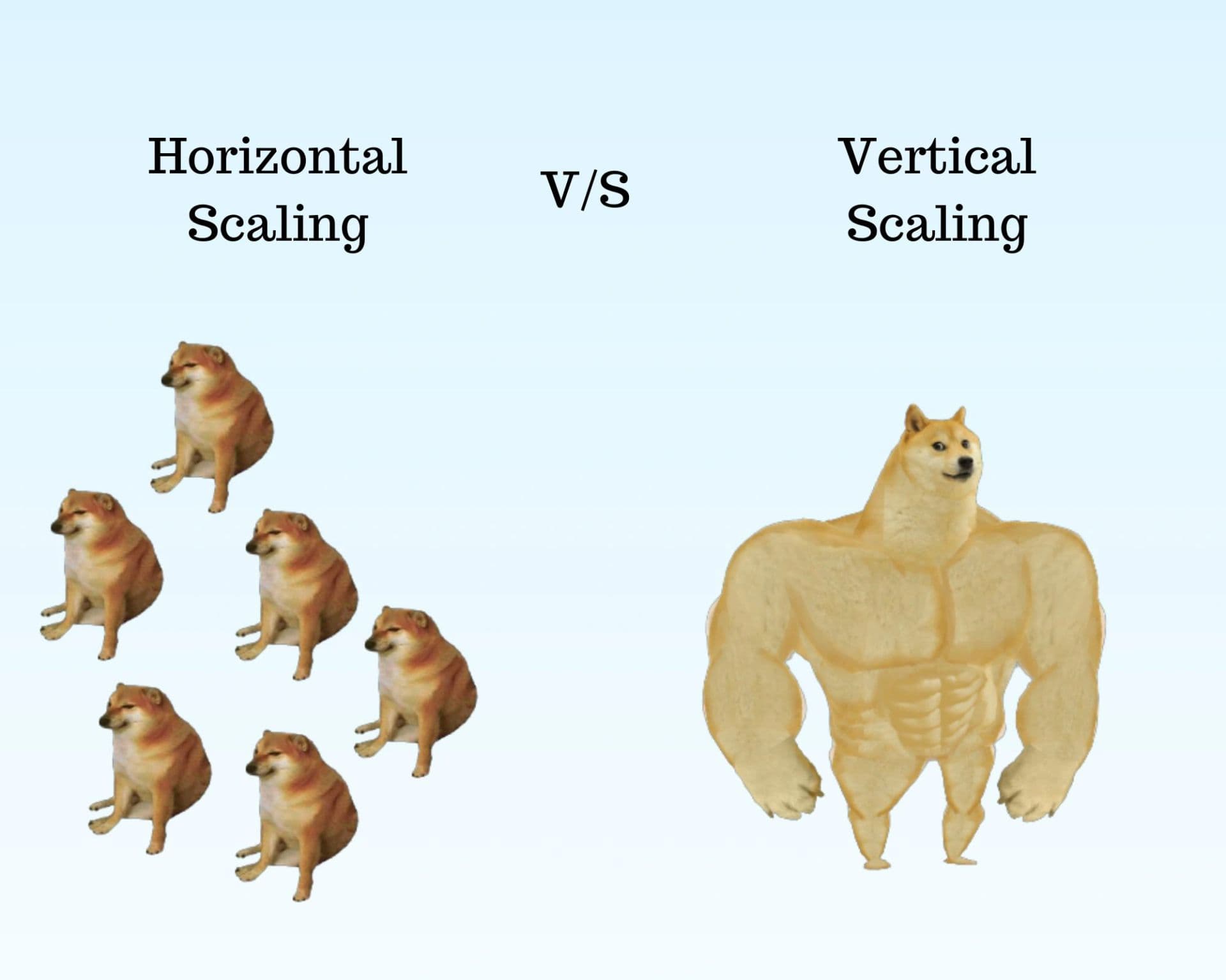 course-image